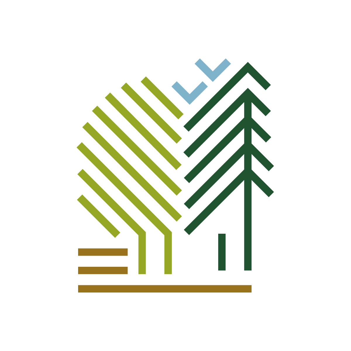 CLIMB-FOREST Robust solutions for sustainable forests