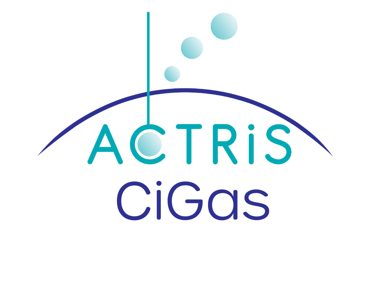 1st Reactive Trace Gases In-Situ Community Workshop