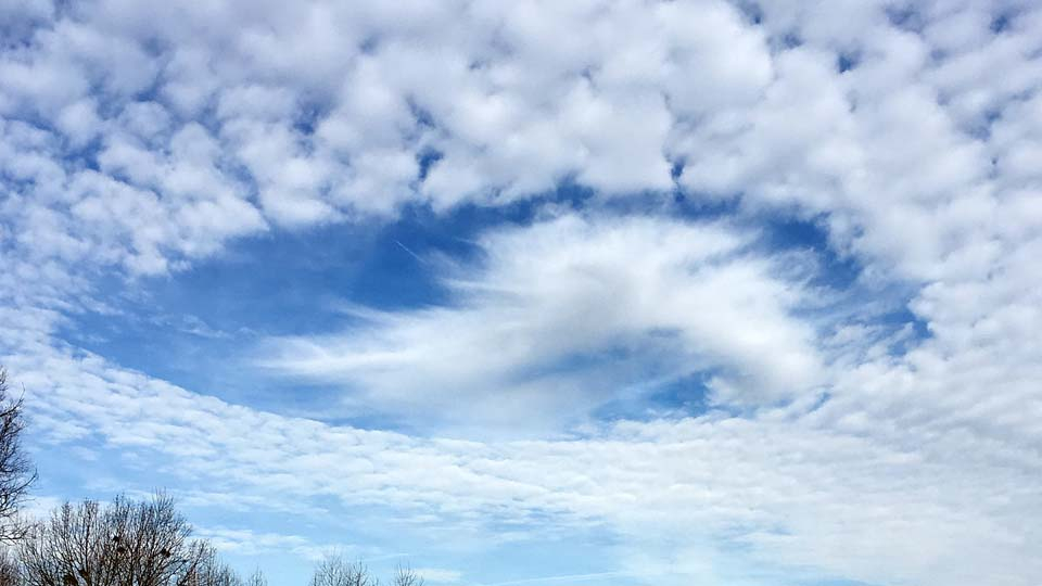 ACTRIS Cloud In Situ: Center for Cloud Ice Nucleation Workshop 